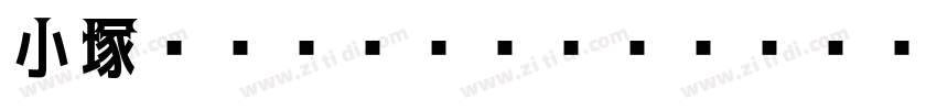 小塚ゴシック Pr6N R字体转换